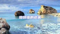 隱翅蟲的危害