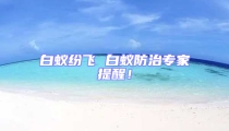 白蟻紛飛 白蟻防治專家提醒!