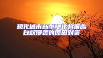 現代城市新型綠化將面臨白蟻侵襲的原因對策