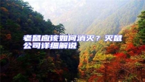 老鼠應該如何消滅?滅鼠公司詳細解說
