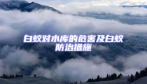 白蟻對水庫的危害及白蟻防治措施
