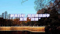 剿殺白蟻 拙政園綠漪亭發(fā)現(xiàn)“敵情”