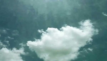 防治白蟻:成熟的蟻群會產生大量的繁殖蟻進行分群