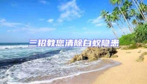 三招教您清除白蟻隱患