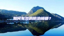 如何有效的防治蟑螂?