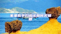 家里有孕婦應(yīng)該如何滅蟑螂