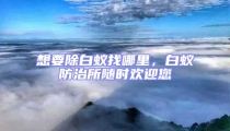 想要除白蟻找哪里,白蟻防治所隨時歡迎您