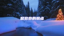 鼠致命的弱點