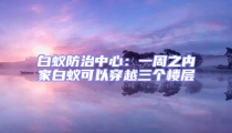 白蟻防治中心:一周之內家白蟻可以穿越三個樓層