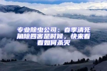 專業除蟲公司：春季清死角除四害是時候，快來看看如何殺滅