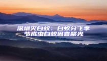 深圳滅白蟻:白蟻分飛季節成蟲白蟻因喜聚光