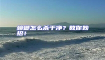 蟑螂怎么殺干凈?教你妙招!