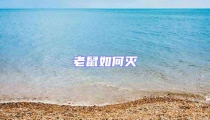 老鼠如何滅