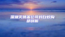 深圳滅跳蚤公司對白蟻胸部剖析