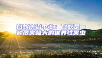 白蟻防治中心:白蟻是一種危害極大的世界性害蟲