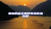 裝修的業主如何有效防治白蟻