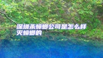 深圳殺蟑螂公司是怎么樣滅蟑螂的