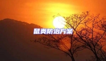 鼠類防治方案