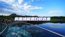 房屋地板遭白蟻危害