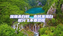 深圳殺白蟻,市民發現白蟻分飛不要恐慌