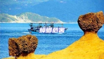 蟑螂危害