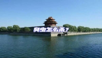 臭蟲怎么殺?