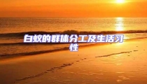 白蟻的群體分工及生活習性