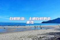白蟻防治：土棲白蟻的危害性