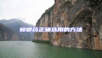 蟑螂藥正確選用的方法