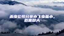 殺蟲公司分享小飛蟲雖小,危害卻大