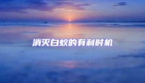 消滅白蟻的有利時機