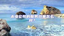 殺蟲公司的服務效果怎么樣?