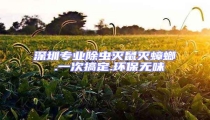 深圳專業除蟲滅鼠滅蟑螂 .一次搞定.環保無味