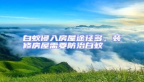 白蟻侵入房屋途徑多,裝修房屋需要防治白蟻