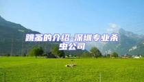跳蚤的介紹-深圳專業殺蟲公司