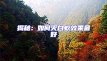 揭秘:如何滅白蟻效果最好