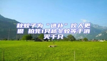 秋蚊子為“進補”咬人更狠 拍死1只越冬蚊等于消滅千只
