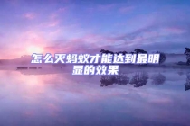 怎么滅螞蟻才能達到最明顯的效果