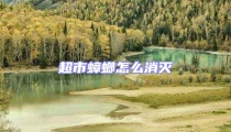 超市蟑螂怎么消滅