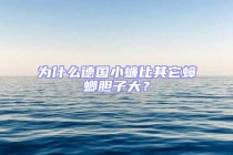 為什么德國小蠊比其它蟑螂膽子大？