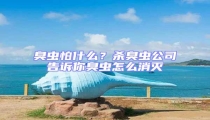 臭蟲怕什么?殺臭蟲公司告訴你臭蟲怎么消滅