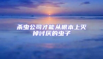 殺蟲公司才能從根本上滅掉討厭的蟲子