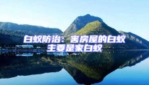 白蟻防治:害房屋的白蟻主要是家白蟻