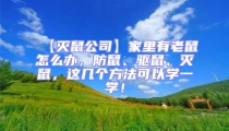 【滅鼠公司】家里有老鼠怎么辦,防鼠、驅鼠、滅鼠,這幾個方法可以學一學!