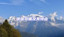 德國小蠊及其特點