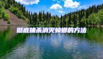 徹底捕殺消滅蟑螂的方法