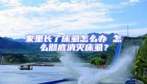 家里長了床虱怎么辦 怎么徹底消滅床虱?