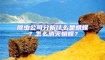 除蟲公司分析什么是蛾蠓?怎么消滅蛾蠓?