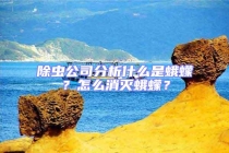 除蟲公司分析什么是蛾蠓？怎么消滅蛾蠓？