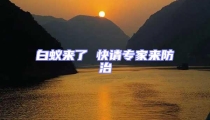 白蟻來了 快請專家來防治